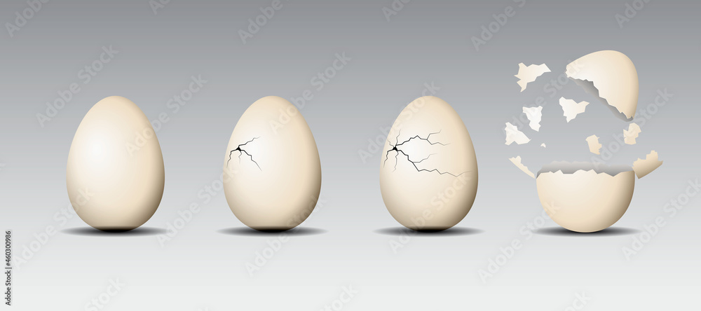 Realistic cracked eggs isolated.White eggshell cracking stages. Broken egg easter element design.
 - obrazy, fototapety, plakaty 