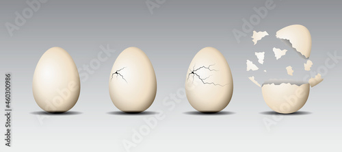 Realistic cracked eggs isolated.White eggshell cracking stages. Broken egg easter element design.
