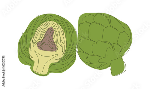 a whole artichoke and half an artichoke cut lengthwise are drawn with one line ea flne abstract spots of green m pink on a white background line art