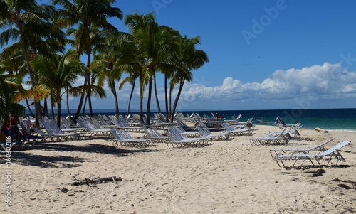 Fototapeta Naklejka Na Ścianę i Meble -  beach chairs and palm trees