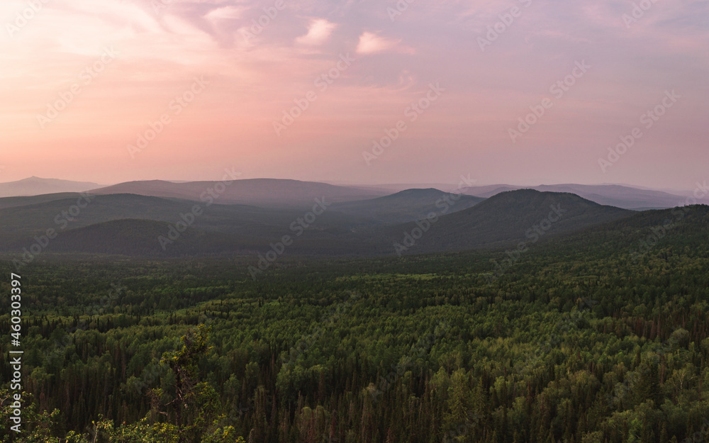 Fototapeta premium Photography of the mountain peaks. Beautiful violet sky in the background. Outdoor view, green forest on top of the mountain. Summer landscape.
