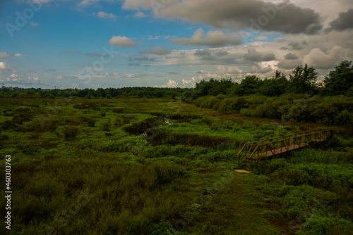 KOBULETI, GEORGIA: Rare and unique Ispani marshes in the Kobulet National Reserve on a cloudy summer day. photo