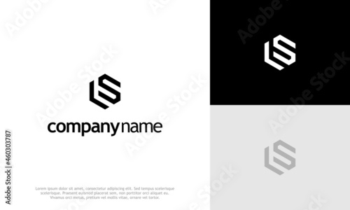 Letter LS SL logo. Icon design. Template elements. Geometric abstract logos