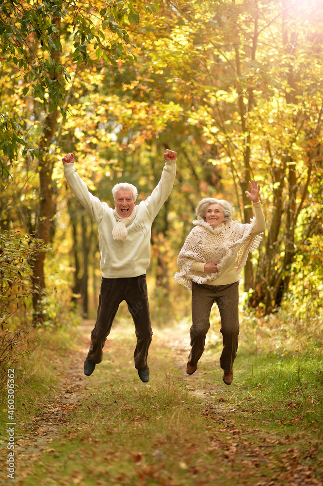 Fototapeta premium Portrait of happy senior woman and man