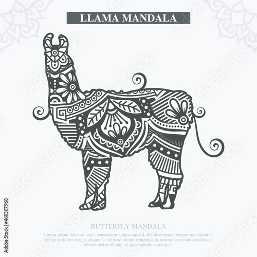 LLAMA Mandala Vector. Vintage decorative elements. Oriental pattern, vector illustration.