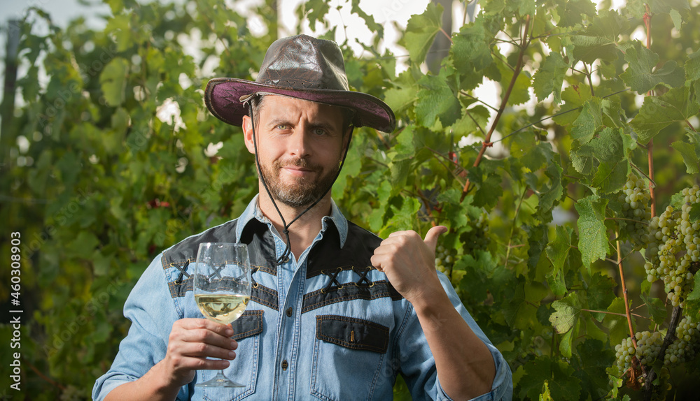 cheers. vinedresser drinking. male vineyard owner. professional winegrower show grape farm