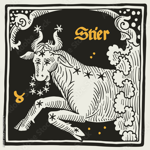 Fototapeta Naklejka Na Ścianę i Meble -  Taurus or Bull Zodiac sign and constellations. Illustration in medieval style with black-letter lettering.