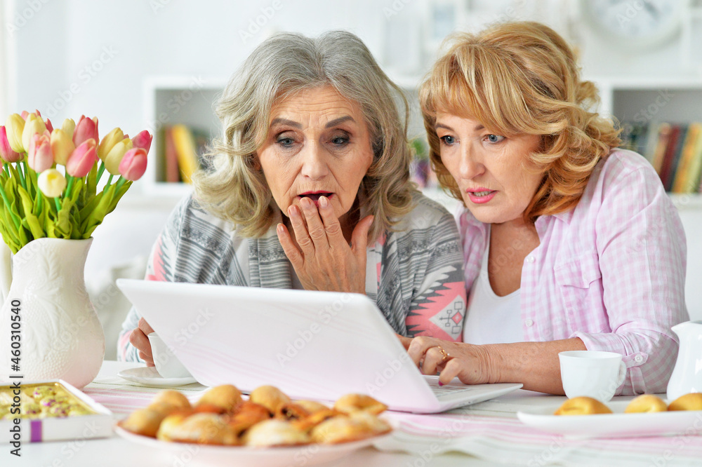 Portrait of two smiling senior women using laptop at home Portrait of two smiling senior women using laptop at home