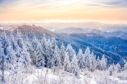 Winter im Schwarzwald  © Sina Ettmer