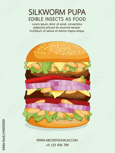 Burger silkworm pupa insects with vegetable for eating edible as healthy food alternative. Item menu fast food made of insect meat, it is good source of meal high protein for future.
