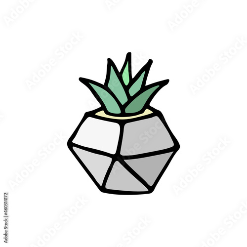 Succulent doodle print. Home plants in modern flowerpot