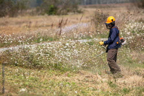 A Man Using a Weed-Wacker Trimmer Machine to Control Heavy Brush in an Animal Preserve