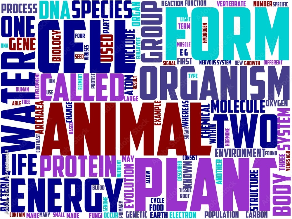 ecology typography, wordart, wordcloud, nature,ecology,green,environment ecology typography, wordart, wordcloud, nature,ecology,green,environment