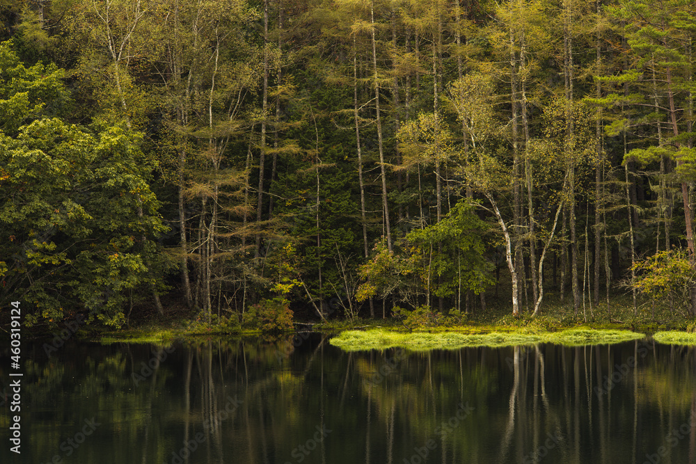 秋の朝の御射鹿池　9月末