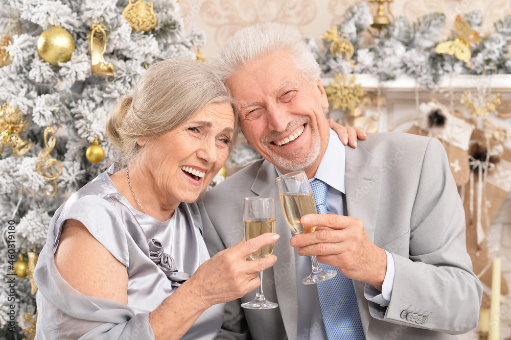 Portrait of old couple with Christmas present Portrait of old couple with Christmas present