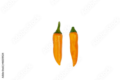Bulgarian carrot hot peppers isolated on white background. 