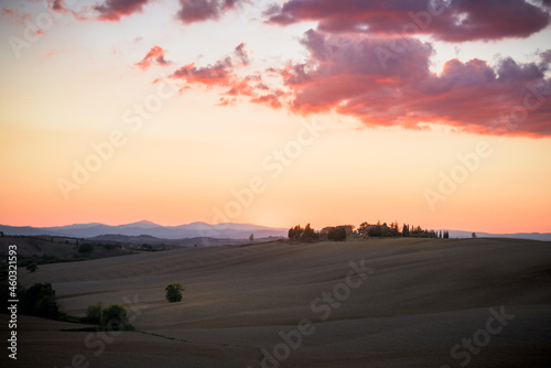 Typical Tuscany landscape in summer at sunset  with cultivated fields and wine yards  cypress trees and old farm buildings in a hill and valley landscape  near Pienza  Val d Orcia  Italy