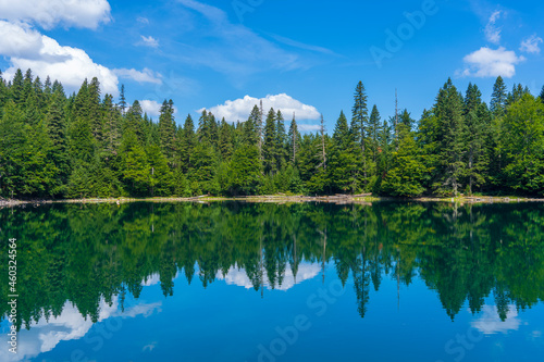 Mountain lake surrounded by dense coniferous and beech forest. Montenegro, Europe