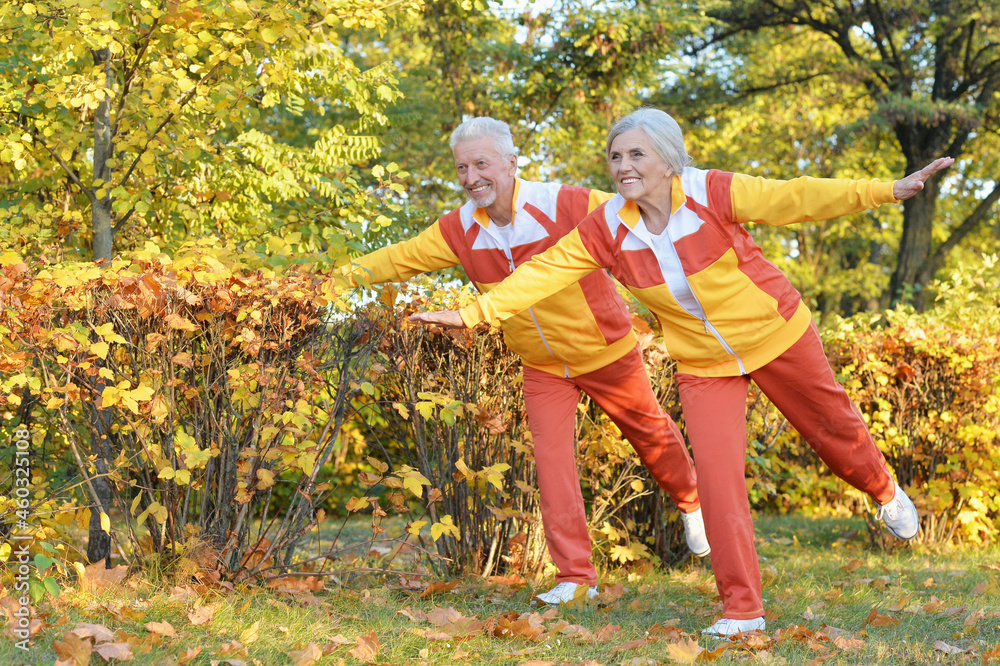Fototapeta premium fit senior couple exercising in autumn park