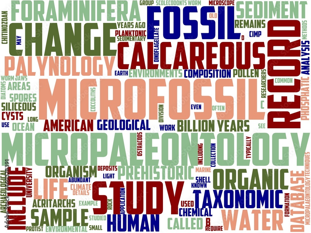 micropalaeontology typography, wordcloud, wordart, microfossils,data,collection,micropalaeontology micropalaeontology typography, wordcloud, wordart, microfossils,data,collection,micropalaeontology
