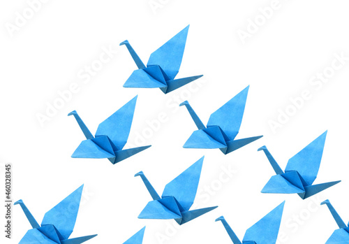 Blue origami bird background