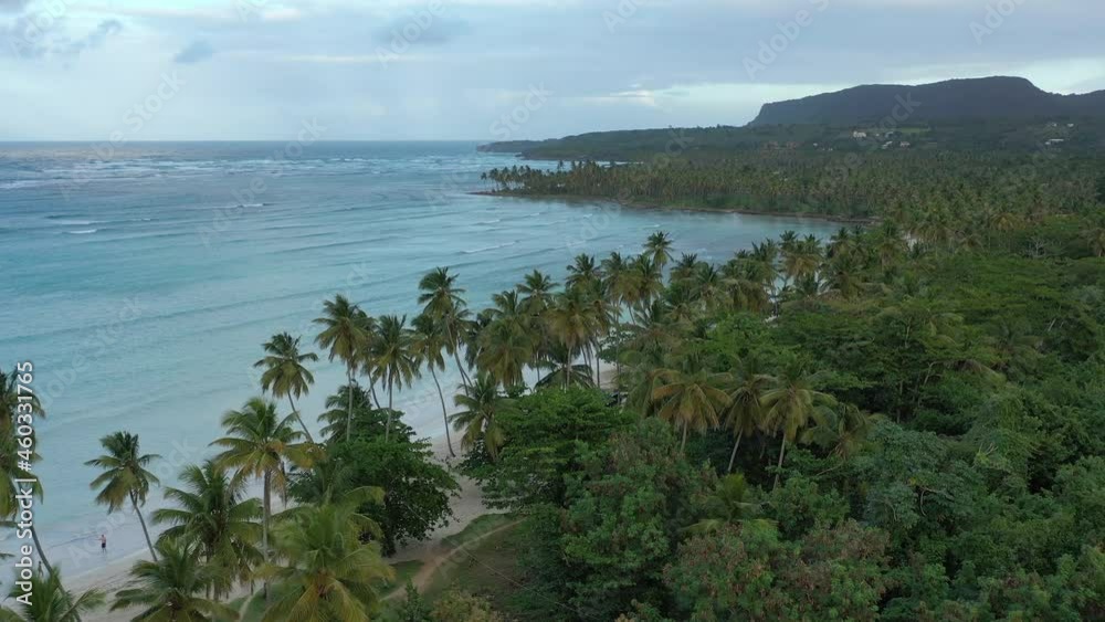 Crystal waters of Las Galeras beach surrounded by lush vegetation, Dominican Republic. Aerial forward Crystal waters of Las Galeras beach surrounded by lush vegetation, Dominican Republic. Aerial forward