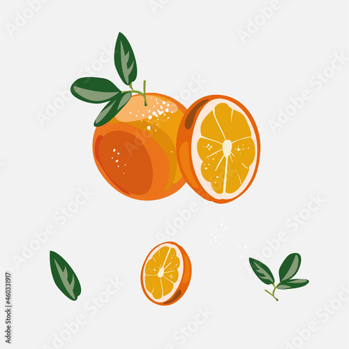 Fresh orange with sliced half fruit and isolated objects