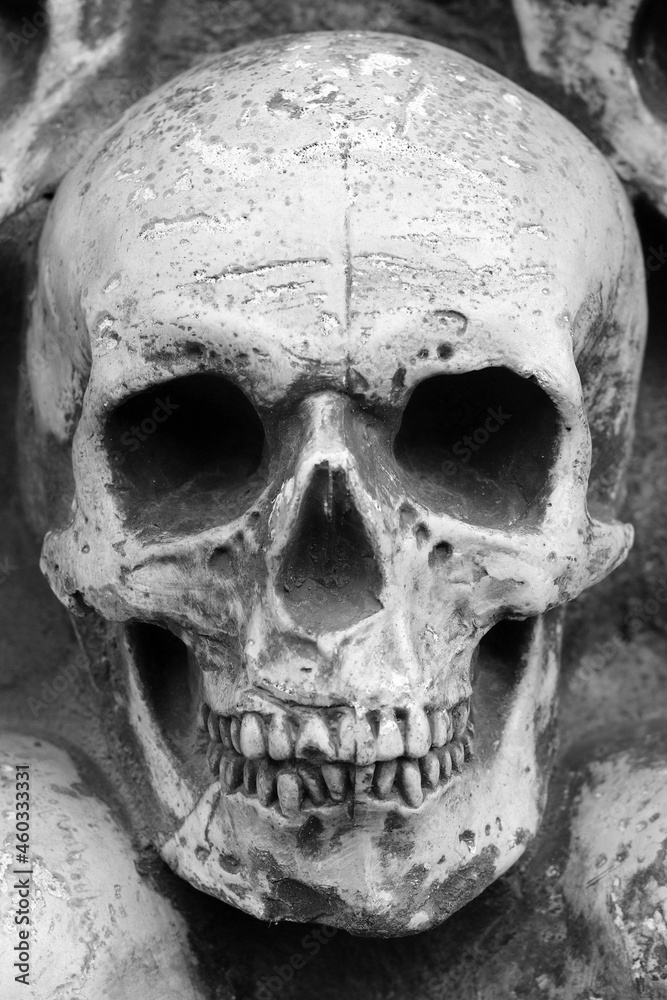 Obraz premium Artificial human skull close-up as postcard with skull or background with skull or photo with skull for background for postcard for congratulations to Halloween