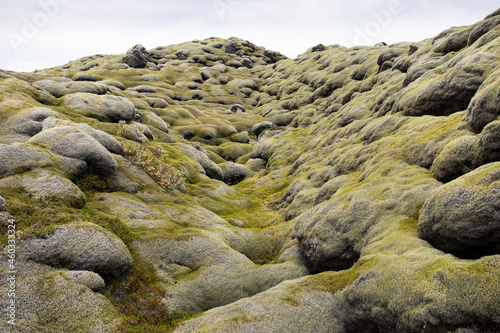 Landscape with lava moss