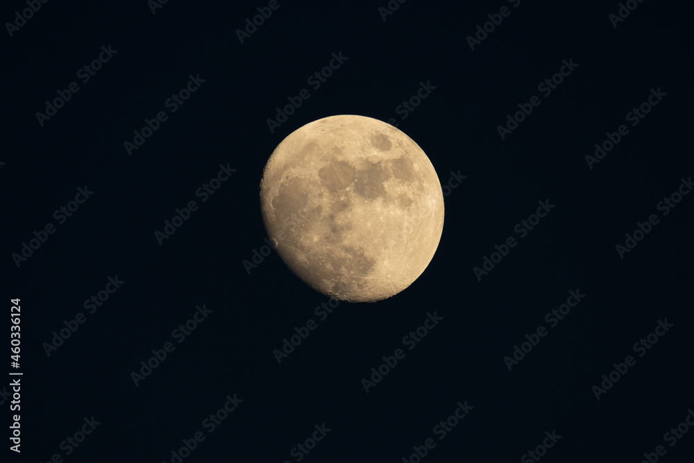 Moonlight yellow gold in the night time.Night landscape and space background.The moon in dark sky at midnight.Beautiful fantasy nature landscape at night scene background. Moonlight yellow gold in the night time.Night landscape and space background.The moon in dark sky at midnight.Beautiful fantasy nature landscape at night scene background.