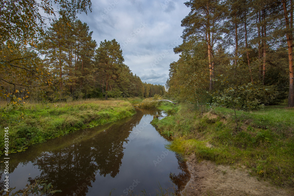 Landscape overlooking the river. Summer landscape with cloudy sky, old pine forest and river. Lots of juicy greens. Landscape overlooking the river. Summer landscape with cloudy sky, old pine forest and river. Lots of juicy greens.