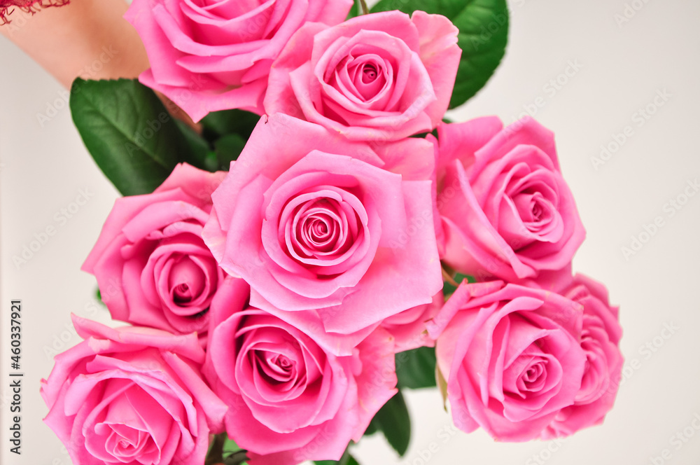 Bouquet of pink roses on white background copy space Bouquet of pink roses on white background copy space