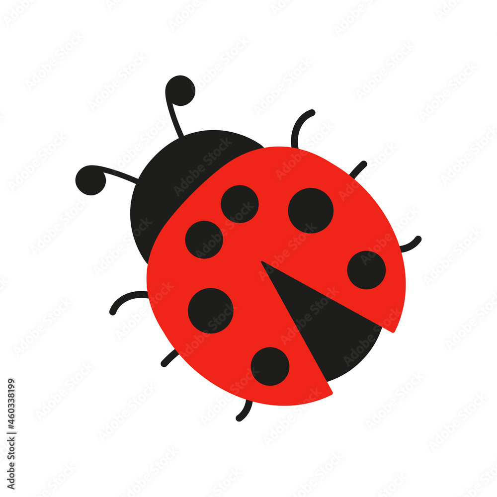 Ladybug cute icon. Ladybird insect character. Vector isolated on white Ladybug cute icon. Ladybird insect character. Vector isolated on white