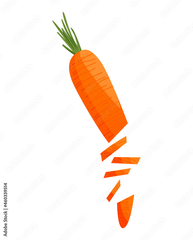 Carrot. Orange root with green carrot top. Vegetable sketch. Fresh cartoon vegetable isolated on white background. Colorful sliced carrot Carrot. Orange root with green carrot top. Vegetable sketch. Fresh cartoon vegetable isolated on white background. Colorful sliced carrot
