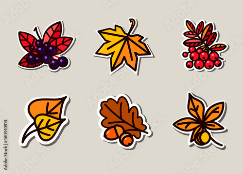 Bright autumn leaves and ripe berries. Illustrations can be used as packaging labels for shipping, badging, and garment decoration. © Светлана Федоровская