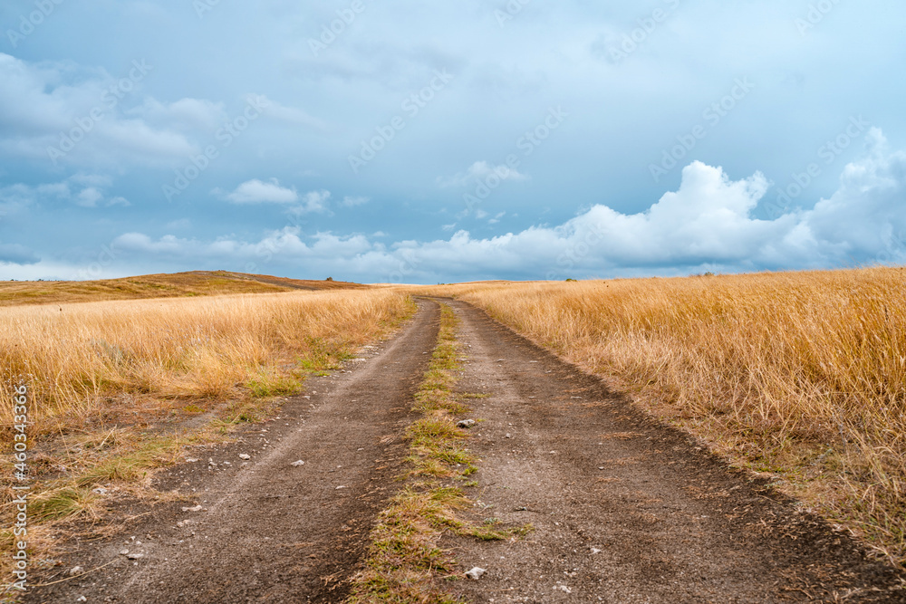 Landscape view of a path through a dry savanna against a cloudy sky