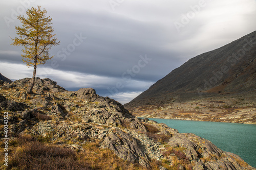 landscape with lake