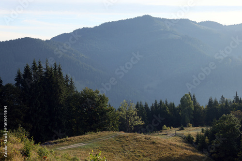 Beautiful mountain landscape with green trees on sunny day