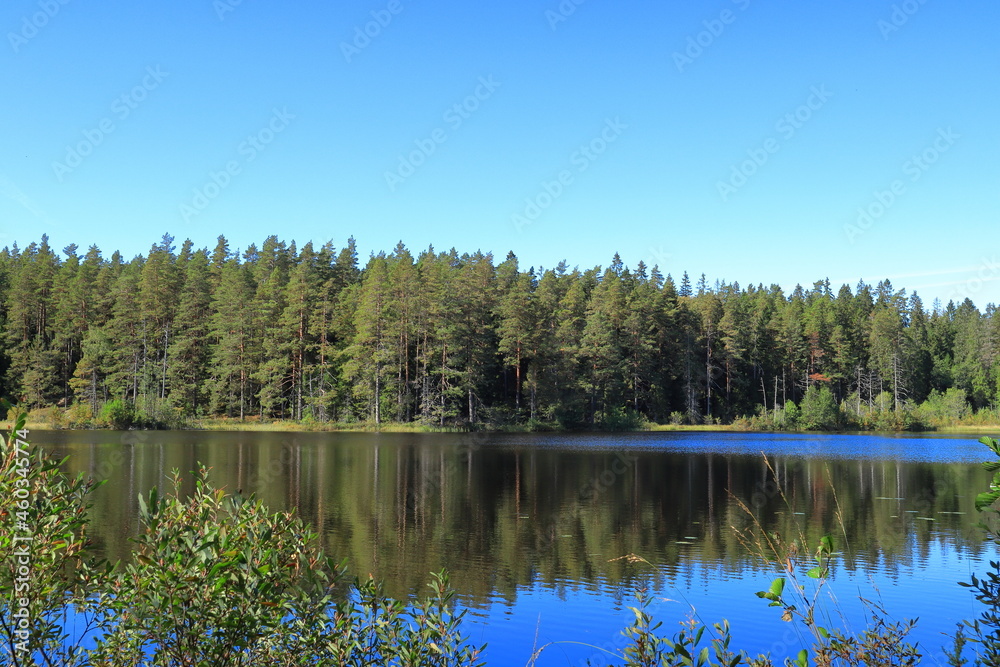 National reserve park at Tiveden. Clear calm water at a small lake outdoors. Swedish nature during the summer. Beautiful view. Sweden, Scandinavia, Europe. National reserve park at Tiveden. Clear calm water at a small lake outdoors. Swedish nature during the summer. Beautiful view. Sweden, Scandinavia, Europe.