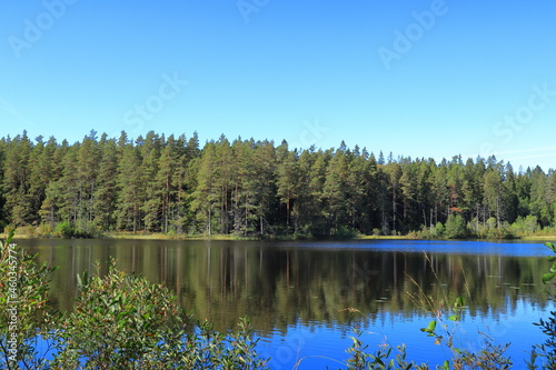 National reserve park at Tiveden. Clear calm water at a small lake outdoors. Swedish nature during the summer. Beautiful view. Sweden, Scandinavia, Europe.