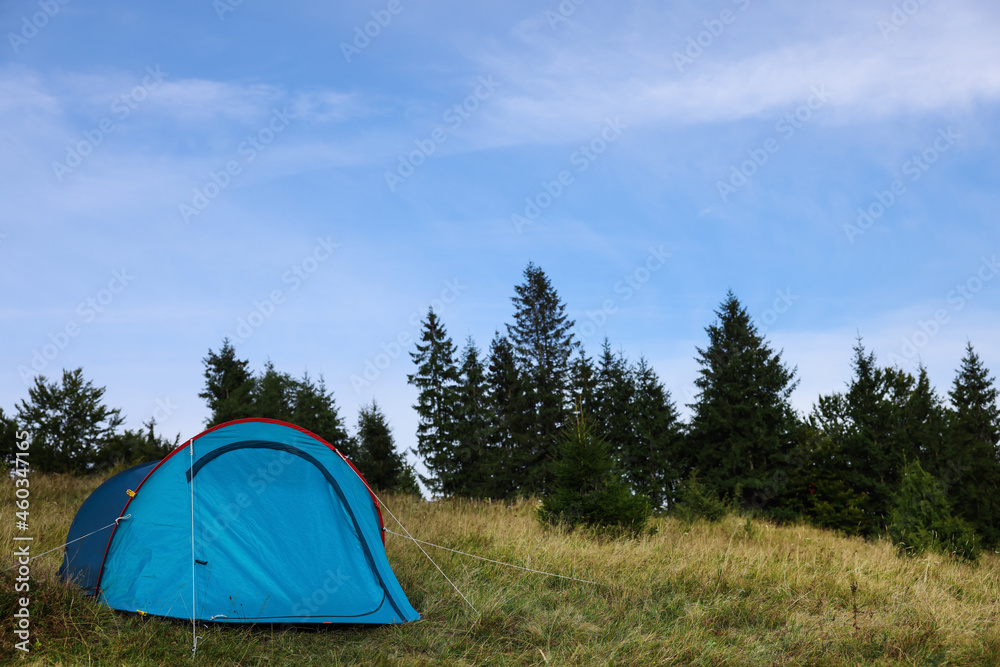 Blue camping tent on green grass near forest, space for text