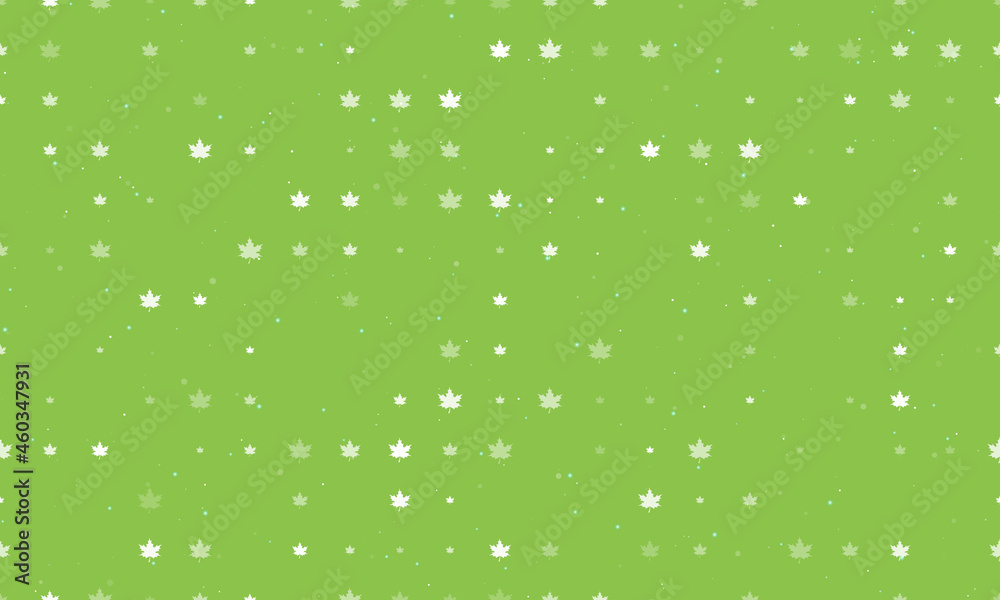 Seamless background pattern of evenly spaced white maple leafs of different sizes and opacity. Vector illustration on light green background with stars
