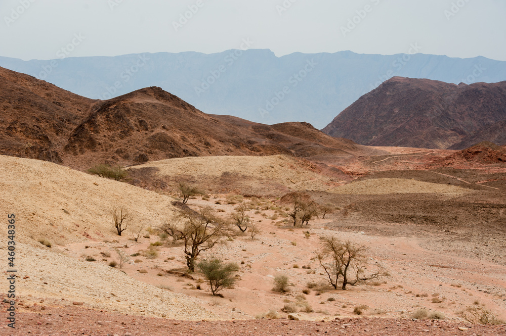 Timna Nature Park in the Desert of Southern Israel