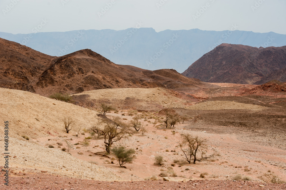 Timna Nature Park in the Desert of Southern Israel Timna Nature Park in the Desert of Southern Israel