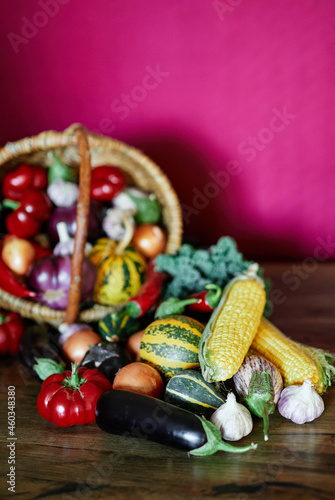 Thanksgiving day or harvesting concept. Organic grown vegetables in wicker basket. Seasonal products: corn, pumpkin, tomatoes, zucchini and others. High quality photo