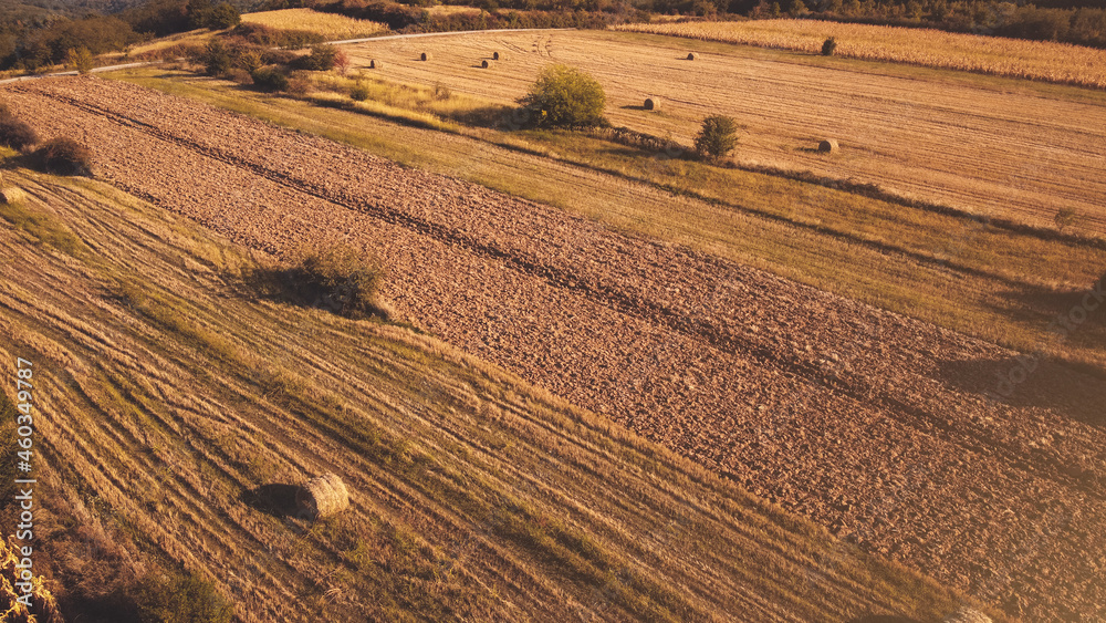 Agricultural fields in sunset with rolled haystacks, aerial view