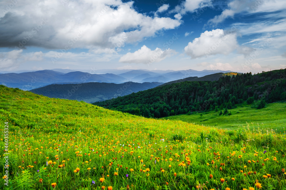 Amazing scene in summer mountains. Lush green grassy meadows in fantastic evening sunlight. Carpathians, Europe. Landscape photography