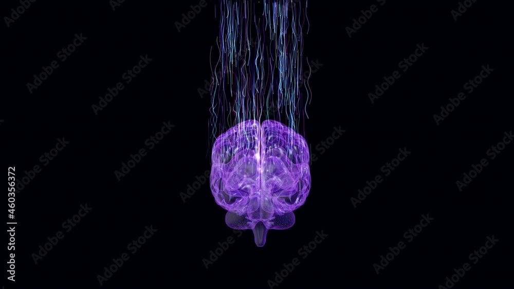 Concept of Artificial intelligence (AI). Downloading information from cloud into brain. Brain 