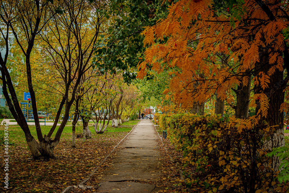 Naklejka premium A beautiful autumn day in the city! 