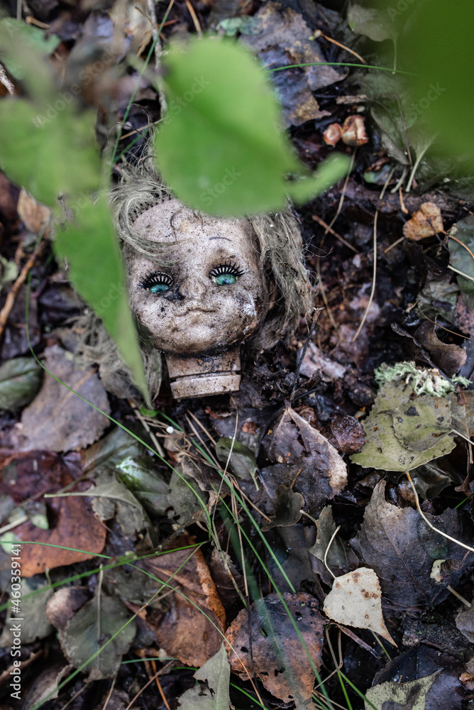 dirty torn off doll head lying on the ground in the woods